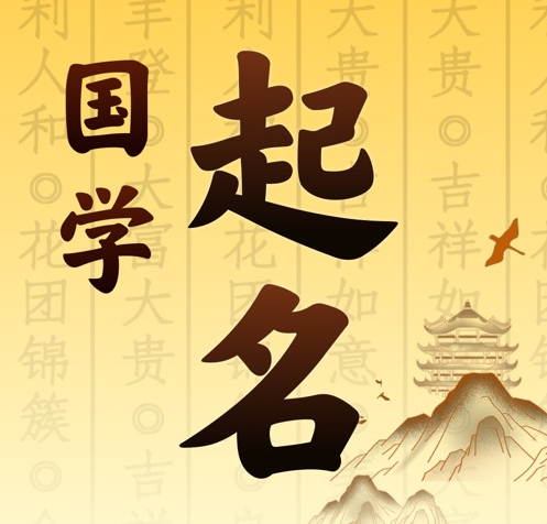 景洪国学起名 人工起名一对一